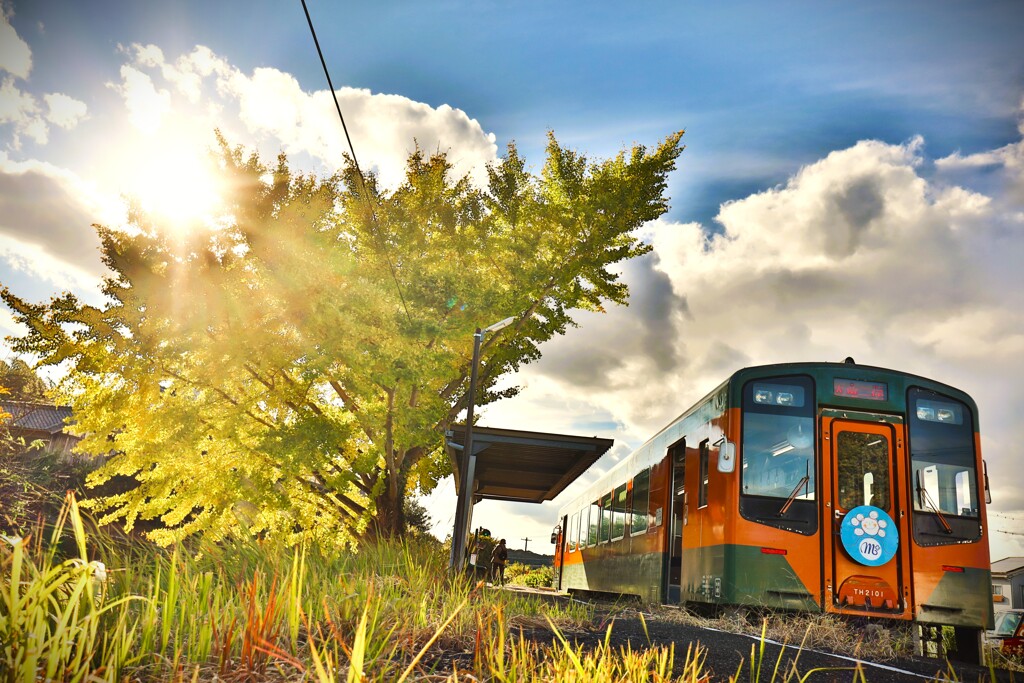 拝啓 小雪の候 遠江一宮1
