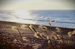 拝啓 冬至の候 御前崎6