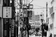 拝啓 立夏の候 静岡14
