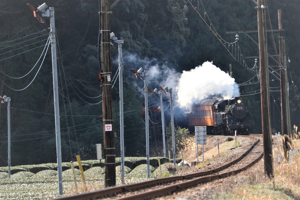 かわね路1号 千頭行き