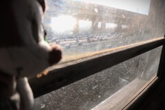 拝啓 大寒の候 佐久米2