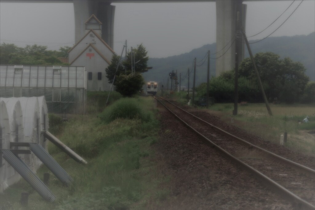 雨が空から降れば・・・。1