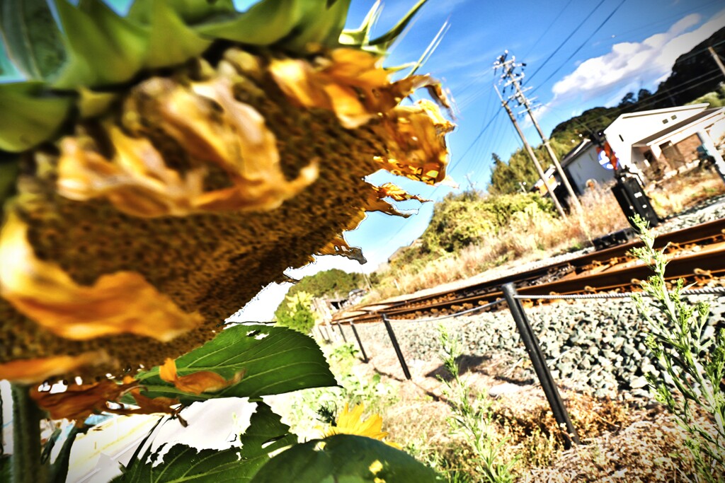 拝啓 小雪の候 一宮1