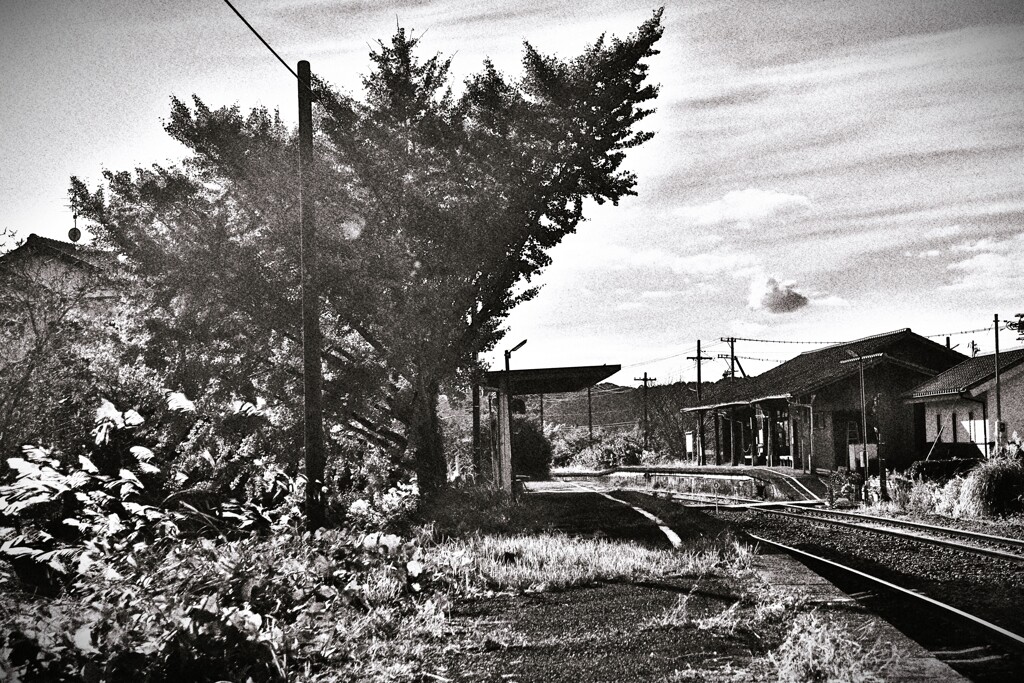 拝啓 小雪の候 遠江一宮8