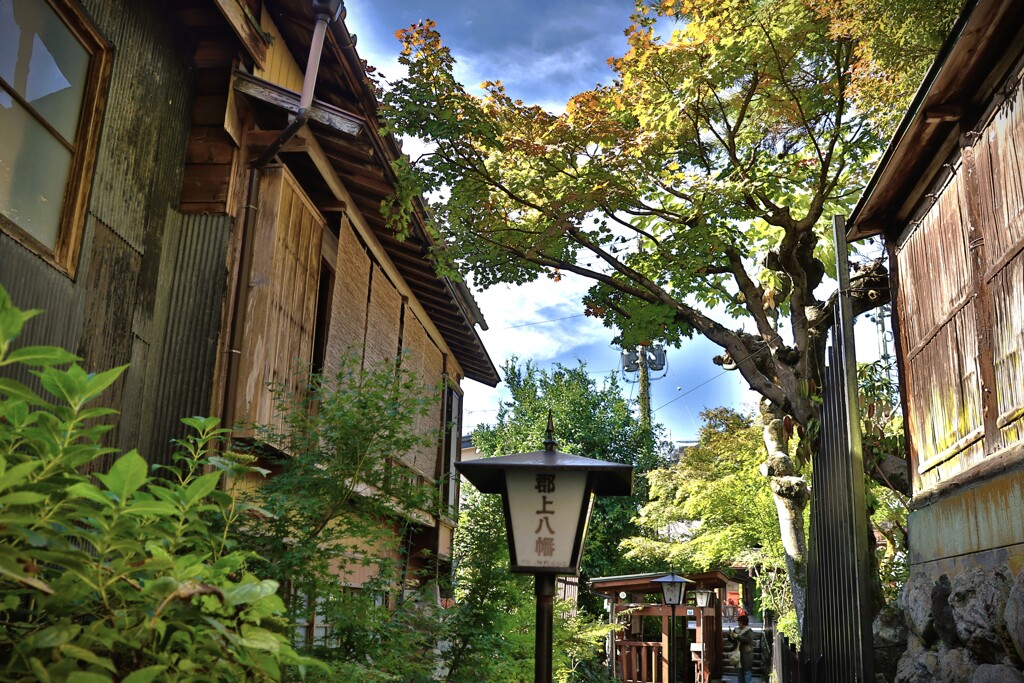 拝啓 霜降の候 郡上八幡9