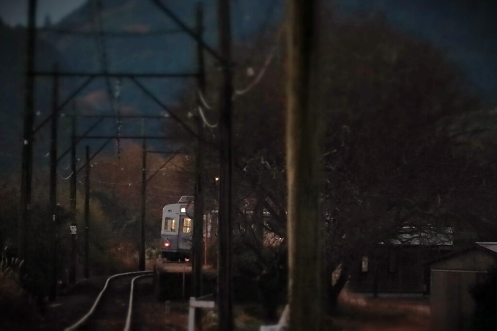 拝啓 大雪の候 抜里6