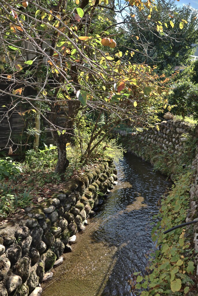 拝啓 霜降の候 なが鉄1
