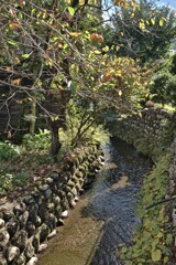 拝啓 霜降の候 なが鉄1