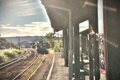 拝啓 小雪の候 遠江一宮6