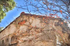 拝啓 小雪の候 ぬくもりの森8