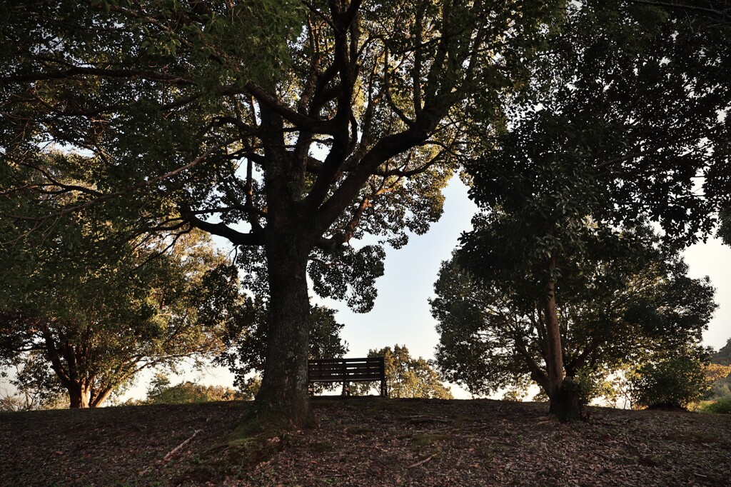 拝啓 立冬の候6