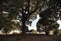 拝啓 立冬の候6