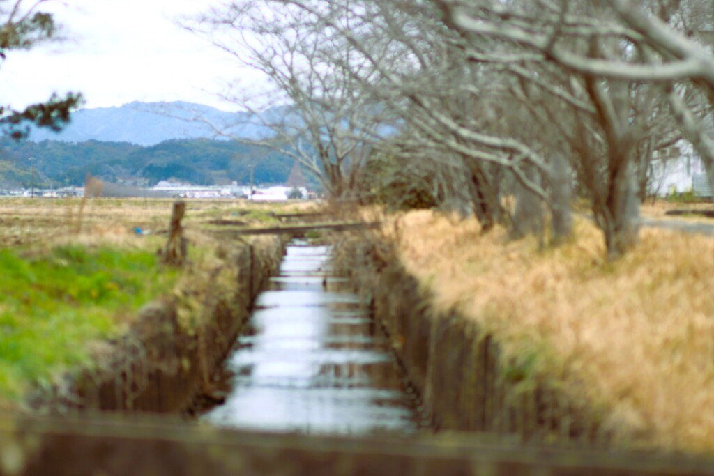 拝啓 雨水の候 いこいの広場2