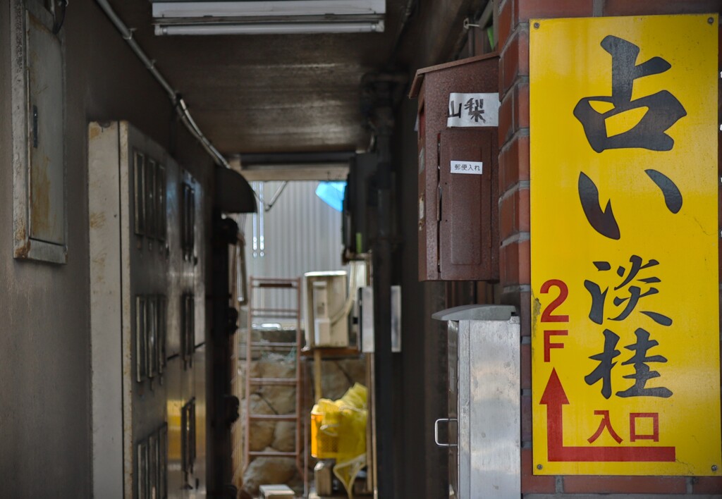 拝啓 小暑の候 静岡5
