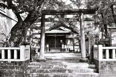 拝啓 小暑の候 mono5