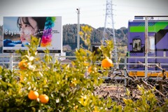 拝啓 雨水の候 常葉大2