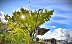 拝啓 小雪の候 遠江一宮3