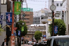 拝啓 立夏の候 静岡4