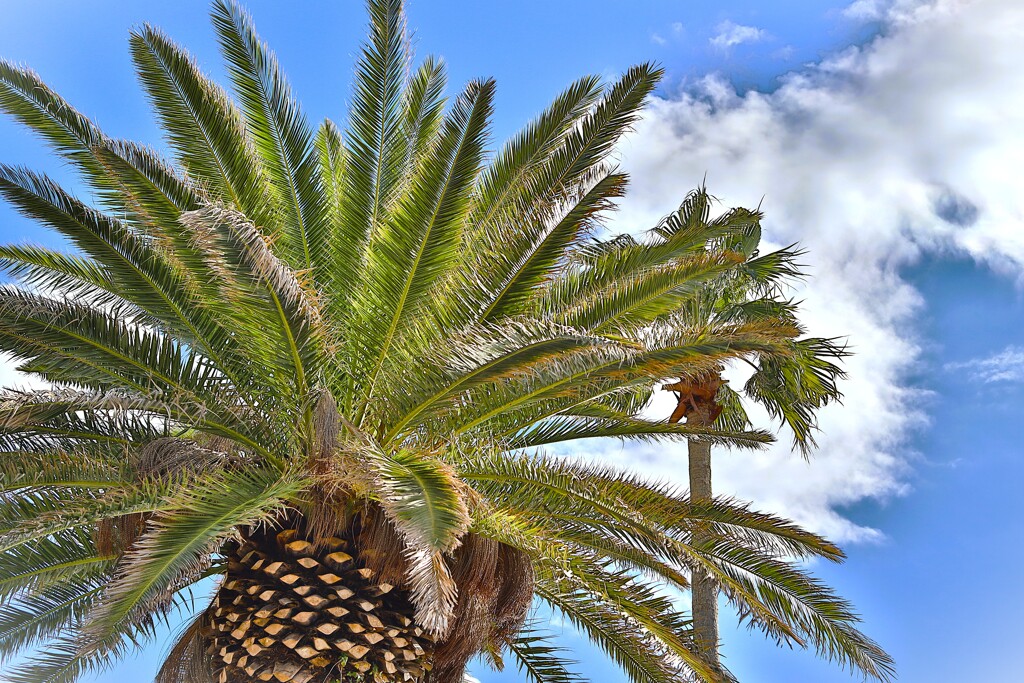 拝啓 冬至の候 吉田3