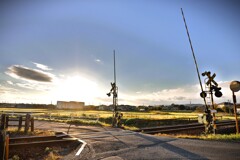 拝啓 小雪の候 豊岡5