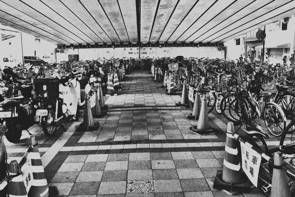 拝啓 小暑の候 mono2