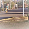 町は、春日和にて候。5