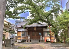 拝啓 小暑の候 静岡2
