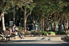 拝啓 小雪の候 浜松城公園5