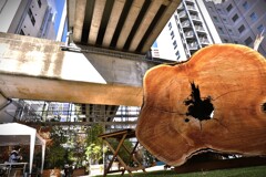 拝啓 小雪の候 浜松5