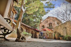 拝啓 小雪の候 ぬくもりの森3