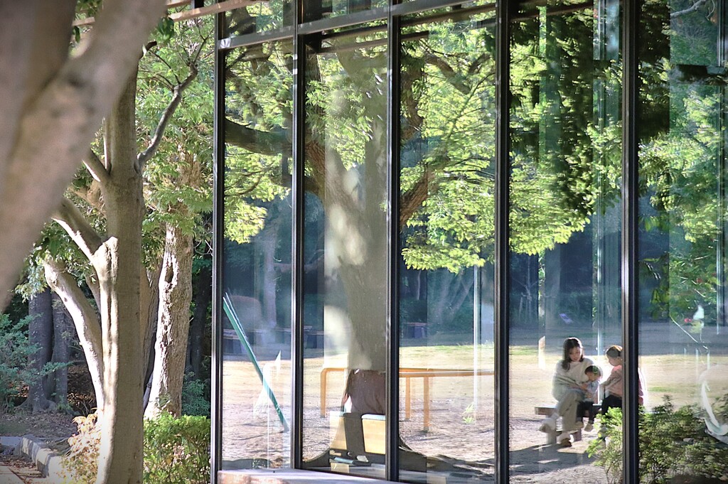 拝啓 小雪の候 浜松城公園8