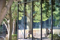 拝啓 小雪の候 浜松城公園8