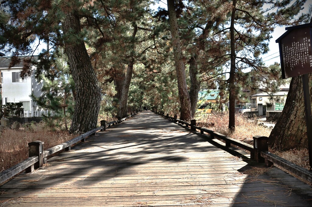 拝啓 冬至の候 三保10