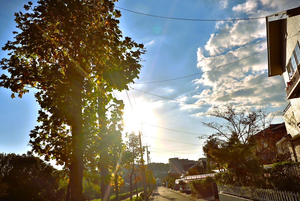 拝啓 立冬の候3