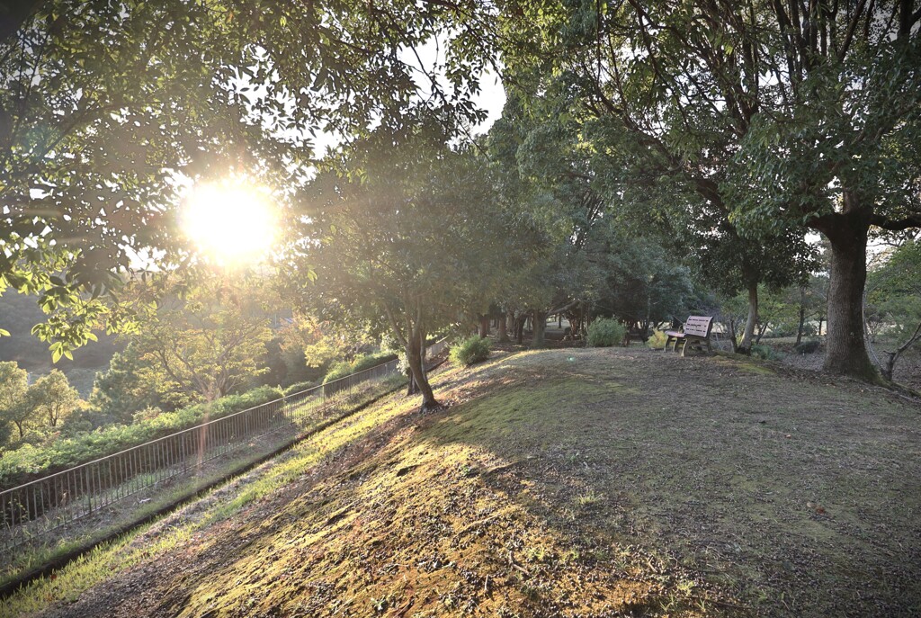 拝啓 立冬の候8