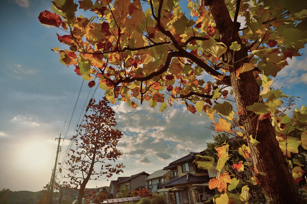 拝啓 立冬の候4