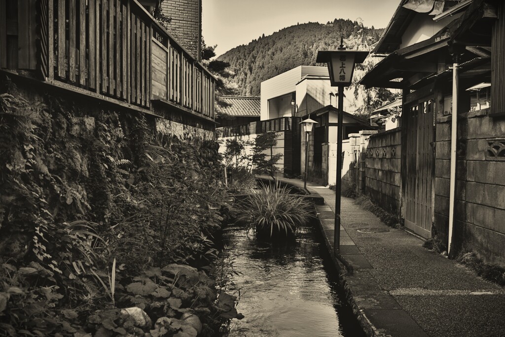 拝啓 霜降の候 郡上八幡5