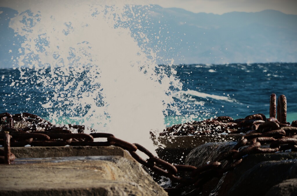 拝啓 冬至の候 三保6