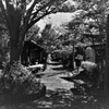 池田の森のカフェ1