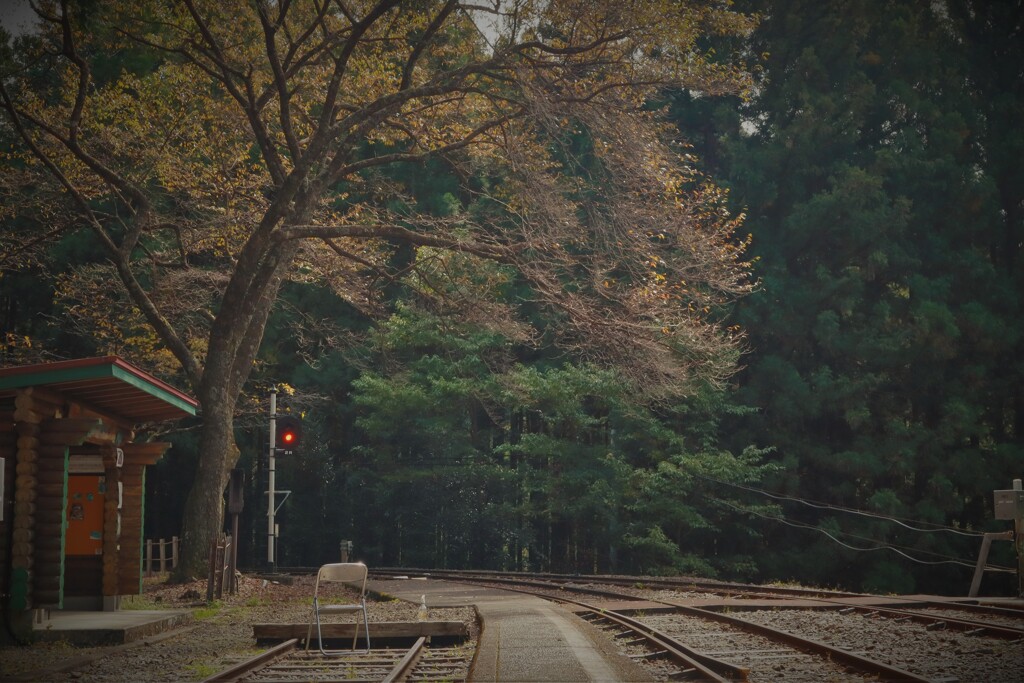 川根小山駅の秋1