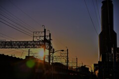 拝啓 小雪の候 浜松8