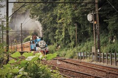 狸囃子が聞こえる駅 2