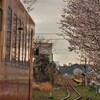 桜日和、岩水寺
