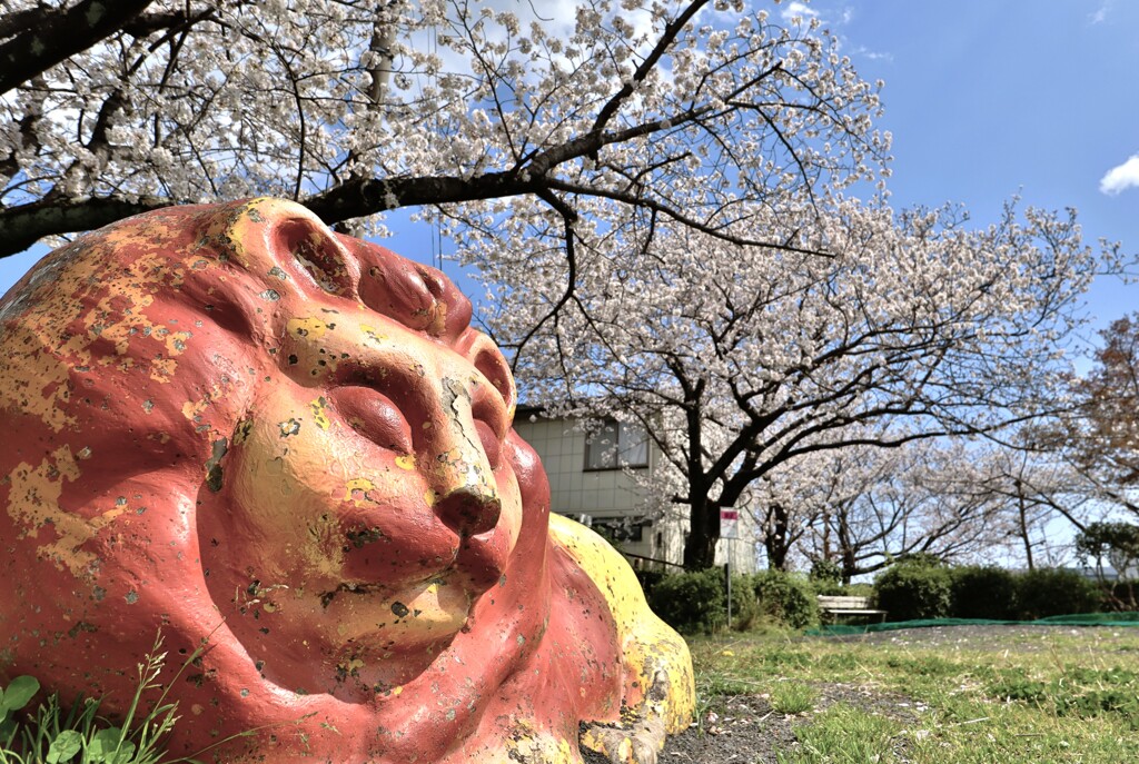 拝啓 清明の候 桜8