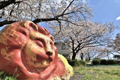 拝啓 清明の候 桜8