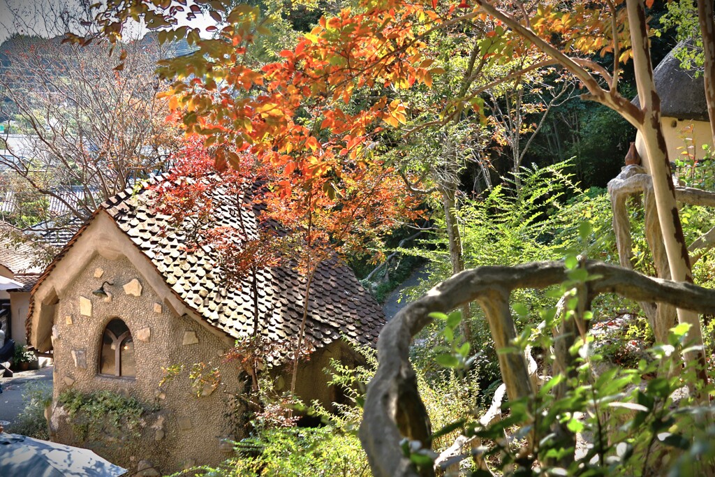 拝啓 小雪の候 ぬくもりの森9