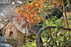 拝啓 小雪の候 ぬくもりの森9