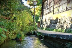 拝啓 霜降の候 郡上八幡7