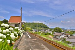 拝啓 夏至の候 天浜線7