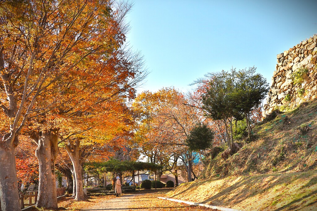 拝啓 小雪の候 浜松城公園7
